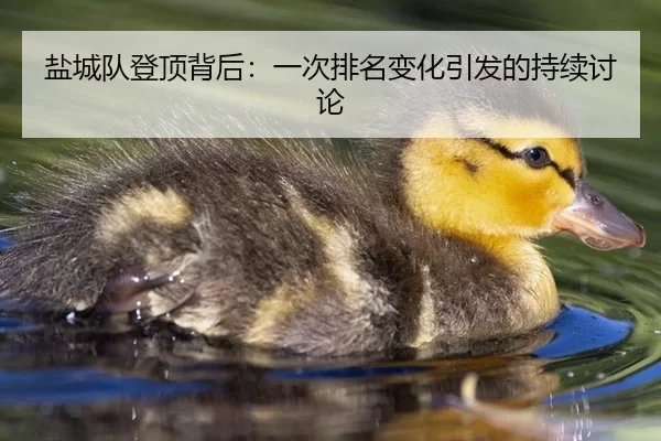 盐城队登顶背后：一次排名变化引发的持续讨论